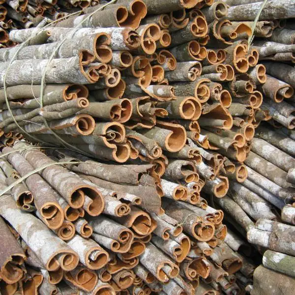 Лидер продаж аппарат для производства экстракта коричного масла корица цинамон пищевые ингредиенты одиночные специи травы Цейлон