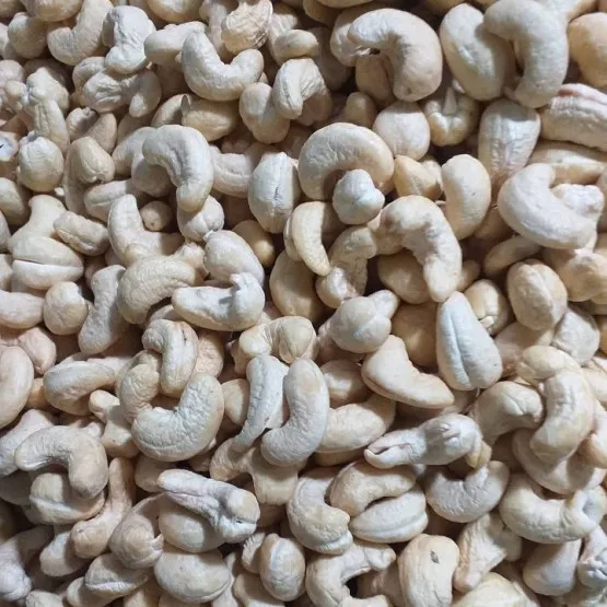 
Dried style and raw processing kind CASHEW NUTS BB 