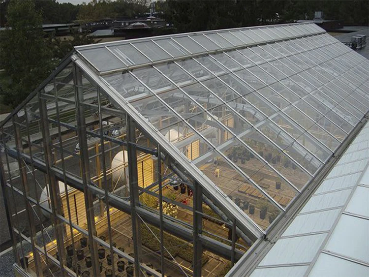 Skyplant Venlo Multi-span Greenhouse With Hydroponic Systems