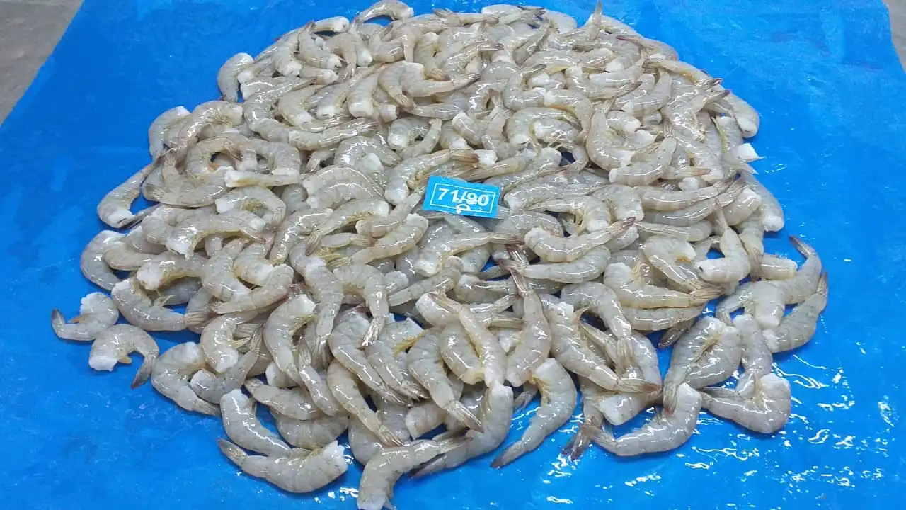  Замороженные креветки VANNAMEI высокое качество замороженные поставщик