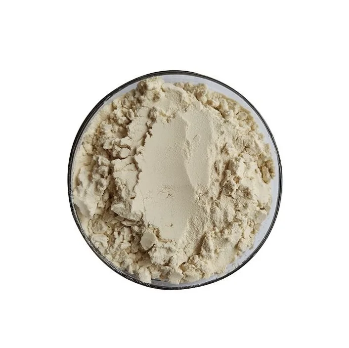 Hot Selling Price Of Non-GMO Soy Isolate Protein Powder in Bulk Quantity