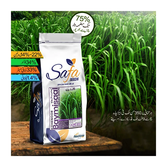 Kohenoor Panicum Maximum Mombasa Grass