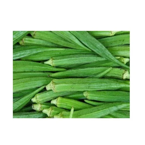 Оптовый запас свежих овощей Okra по самым низким ценам