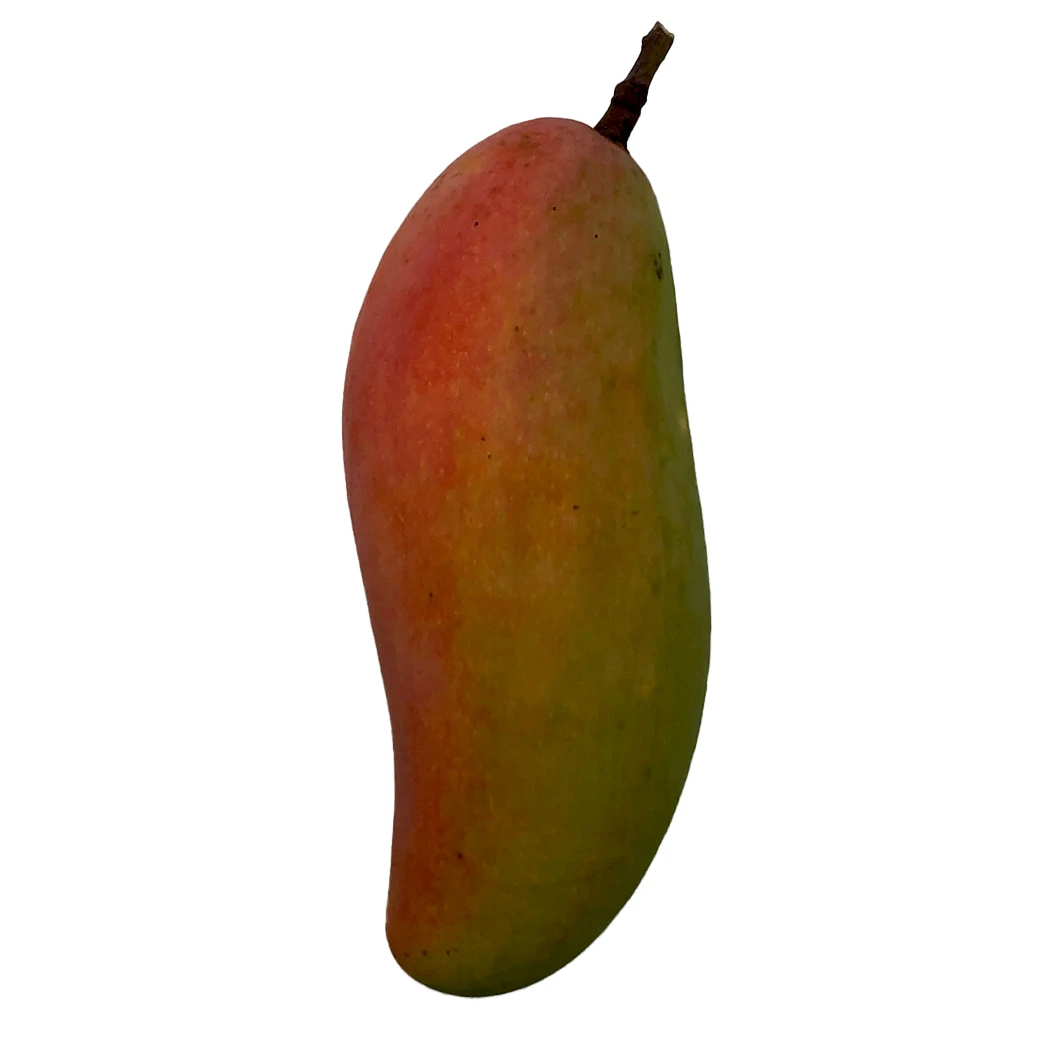Competitive Price High Quality Imported Grade Fresh Mangos Fruit Box Packing Top Selecting from Thailand Mahachanok Mangoes