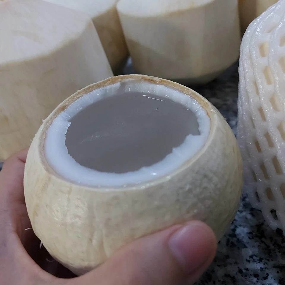 Высококачественный свежий кокос с картонной упаковкой помогает улучшить вашу кожу экспорт из Вьетнама