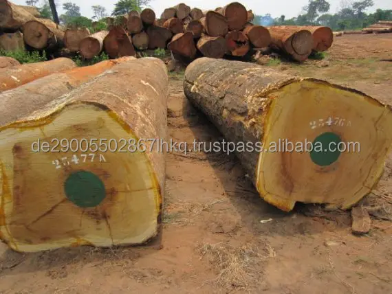 Iroko-Wood-Logs-570x428.jpeg