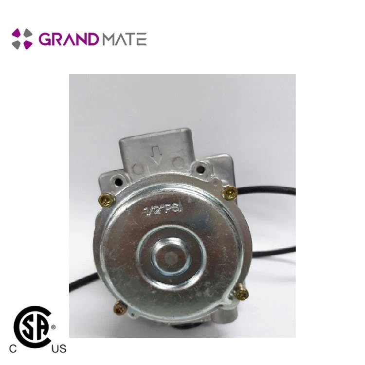  Натуральный редукционный температуры клапан регулировки газа