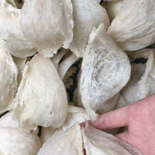 Recommended Bird Nest Anti-aging Skin Clean Natural Bird Nests Come with Plastic Box Of 100 Gram - Physicians Choice