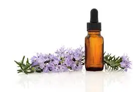 Rosemary extract Oil4.JPG