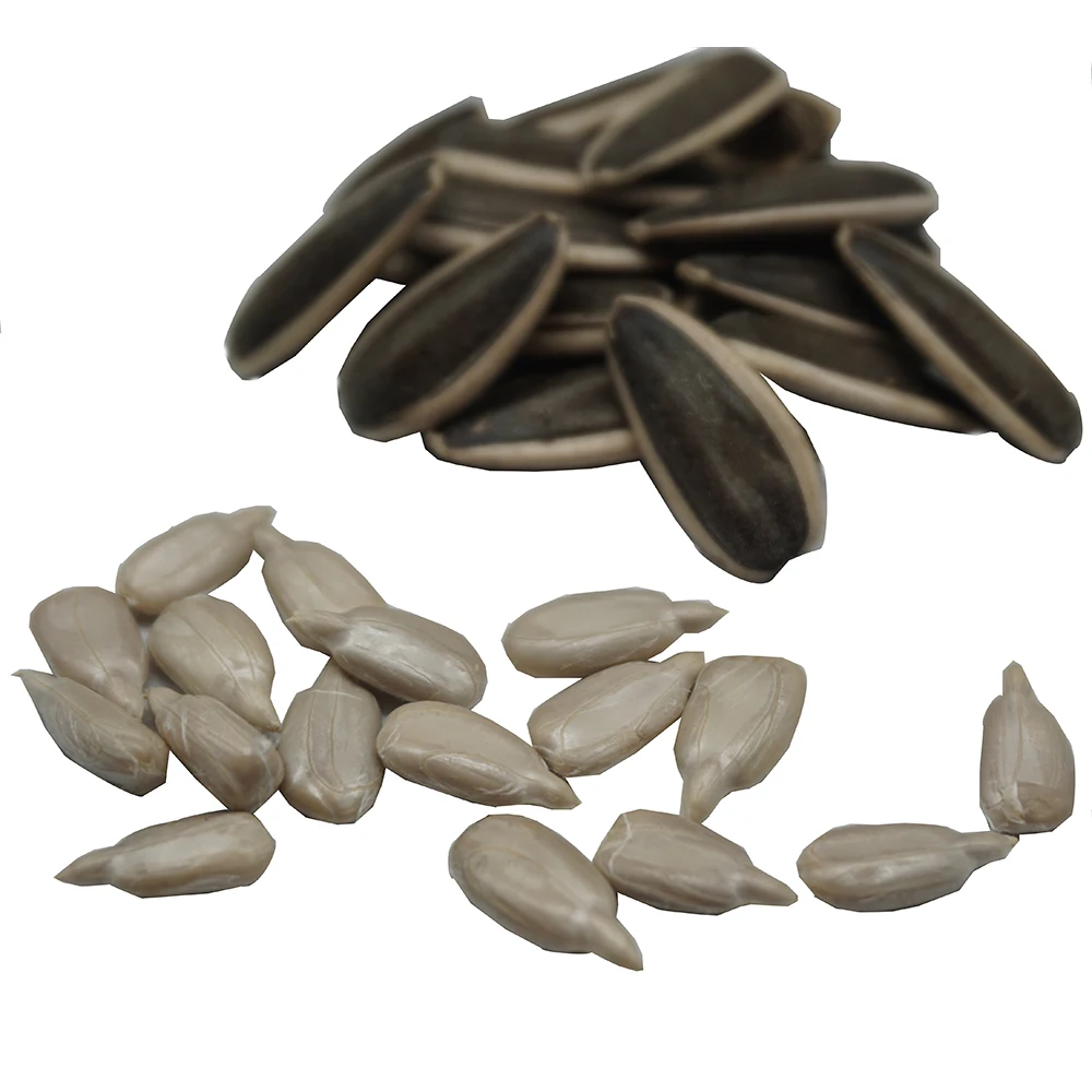 Supply sunflower seeds Raw Chinese wholesale sunflower seeds