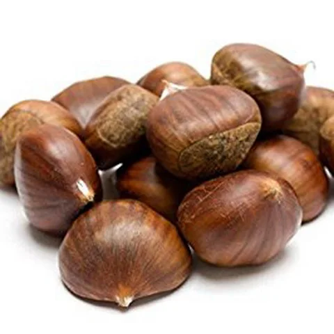 
New crop chestnut price/Chestnut from China/Wholesale chestnut 