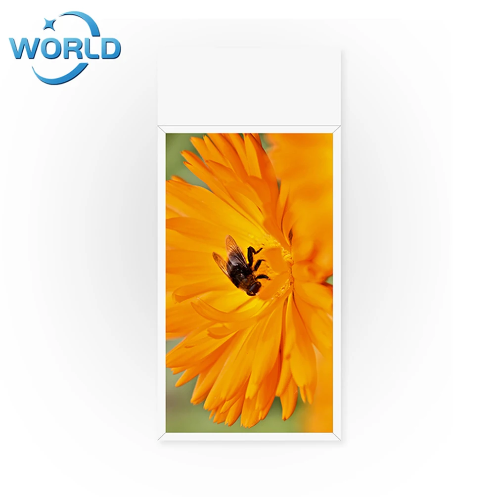  55 дюймов 2500 нит открытый ЖК-дисплей с сенсорным управлением и двойными бортами цифровой экран для рекламы на открытом воздухе