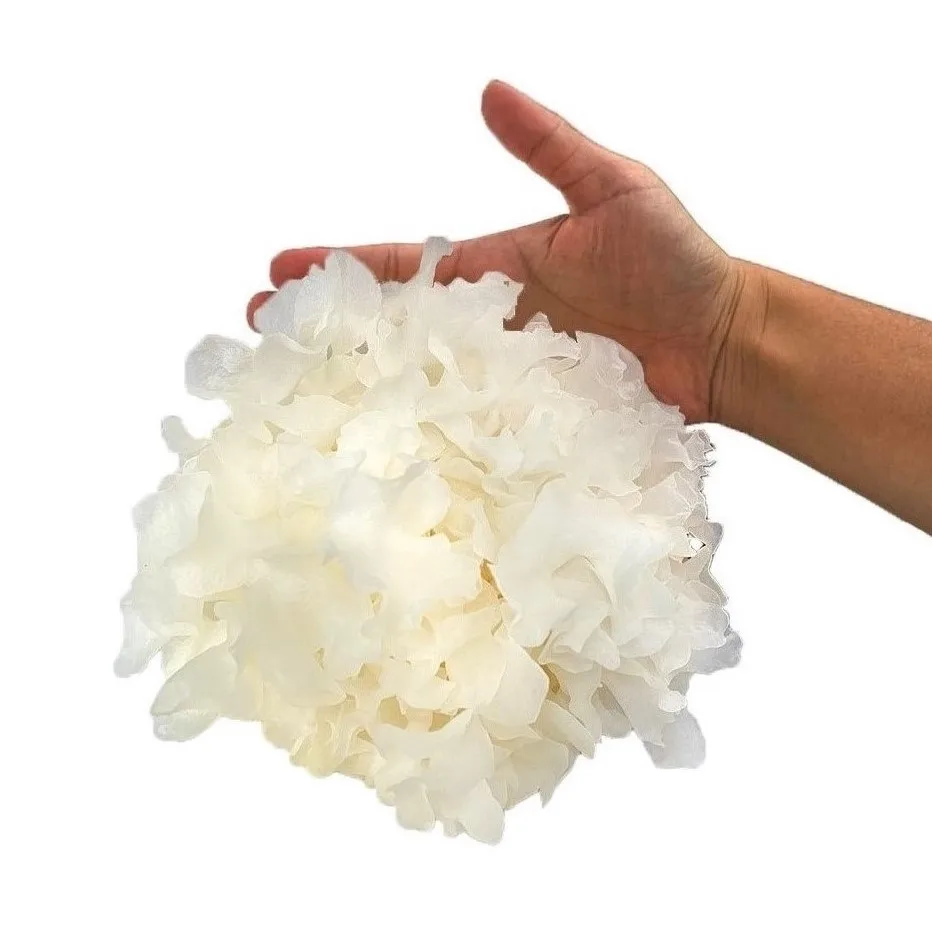 pesticide free fresh white snow fungus for Vegetarian food