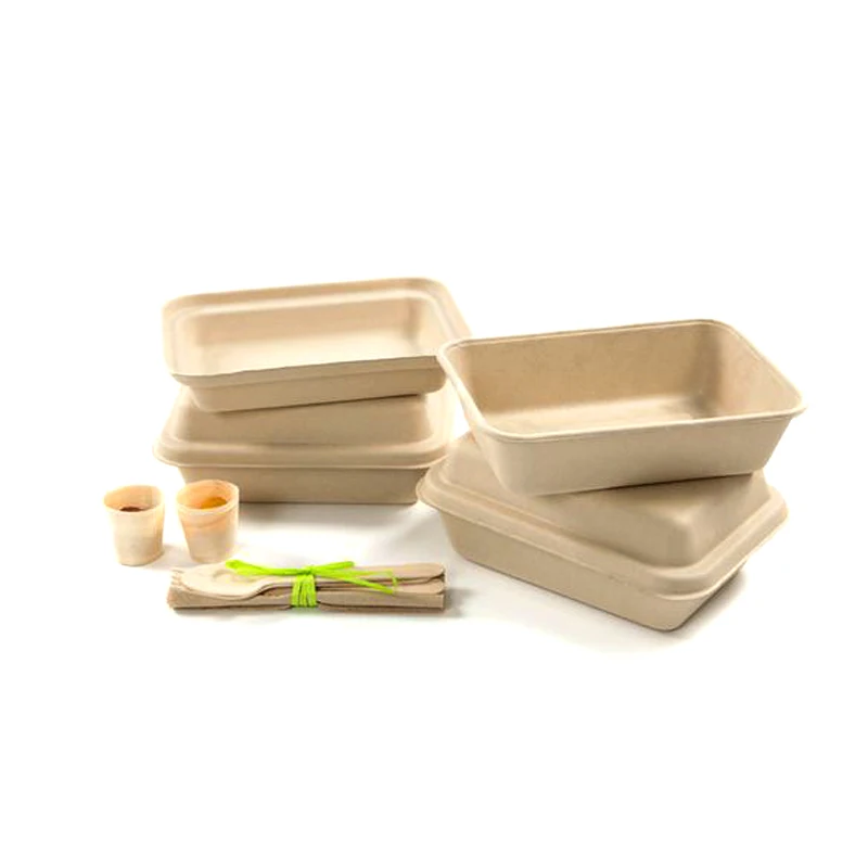 Wholesale Latest Design Manufacturer Custom Eco-Friendly and 100% Recyclable Dry Press Molded Pulp Packaging