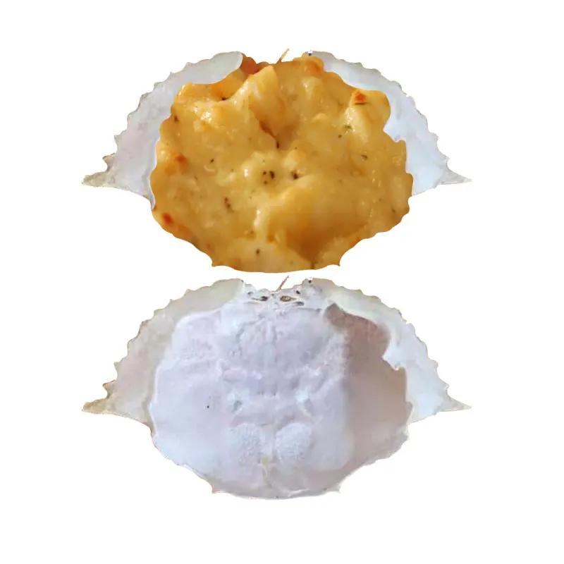 Dried Crab Shell from UK with Best Price