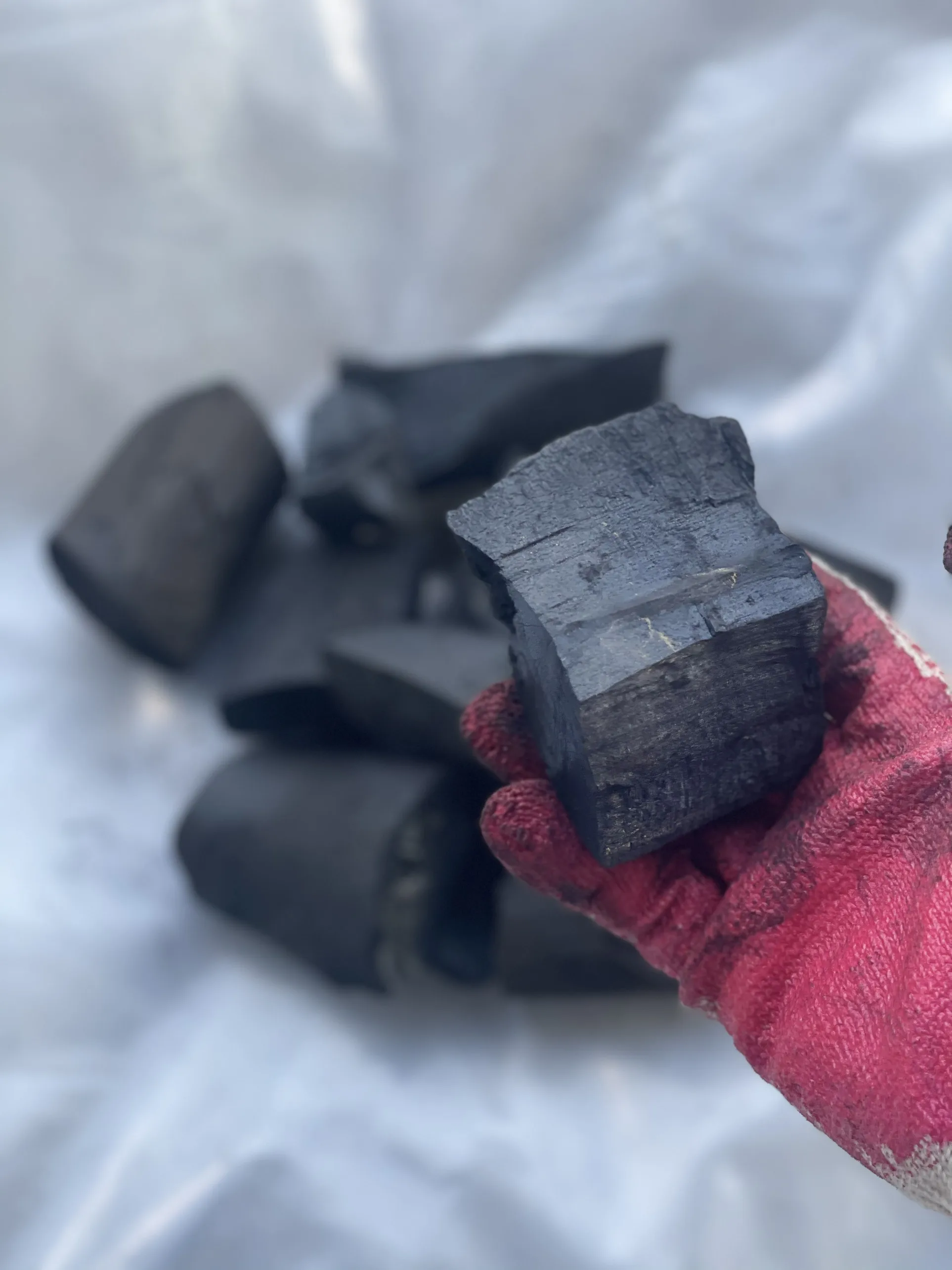 
Wholesale Charcoal Wood Low Price Good Quality from Vietnam 