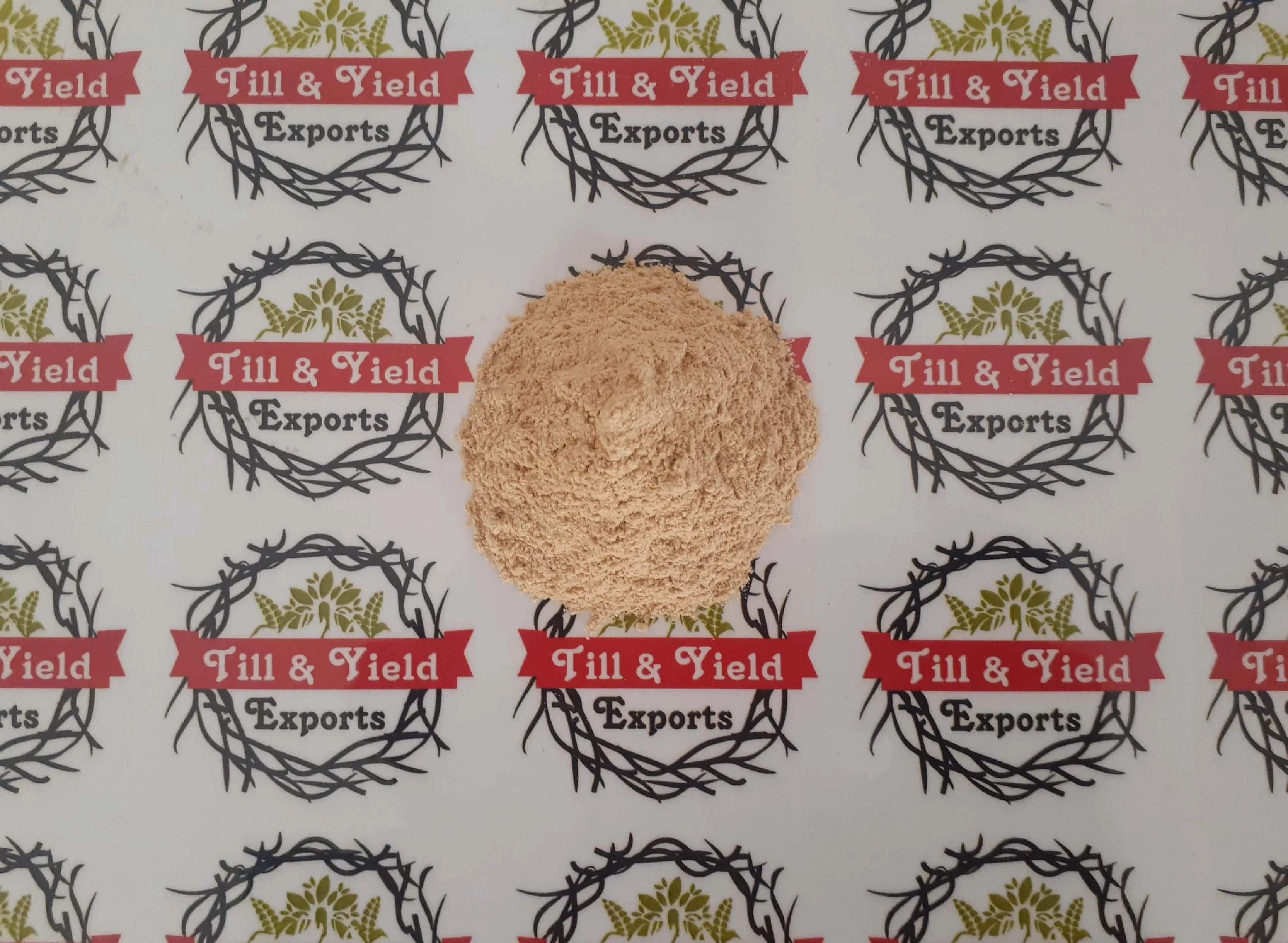 Premium Quality Garlic Powder Indian Kadha For Improve Immunity Compounds With Potent Medicinal Properties