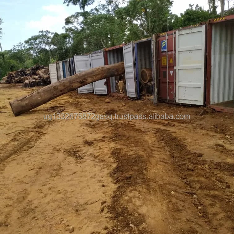 Premium 1/3 Hardwood Pine Logs and Lumber High Quality Sawn Timber Flooring Decking Plywood Materials