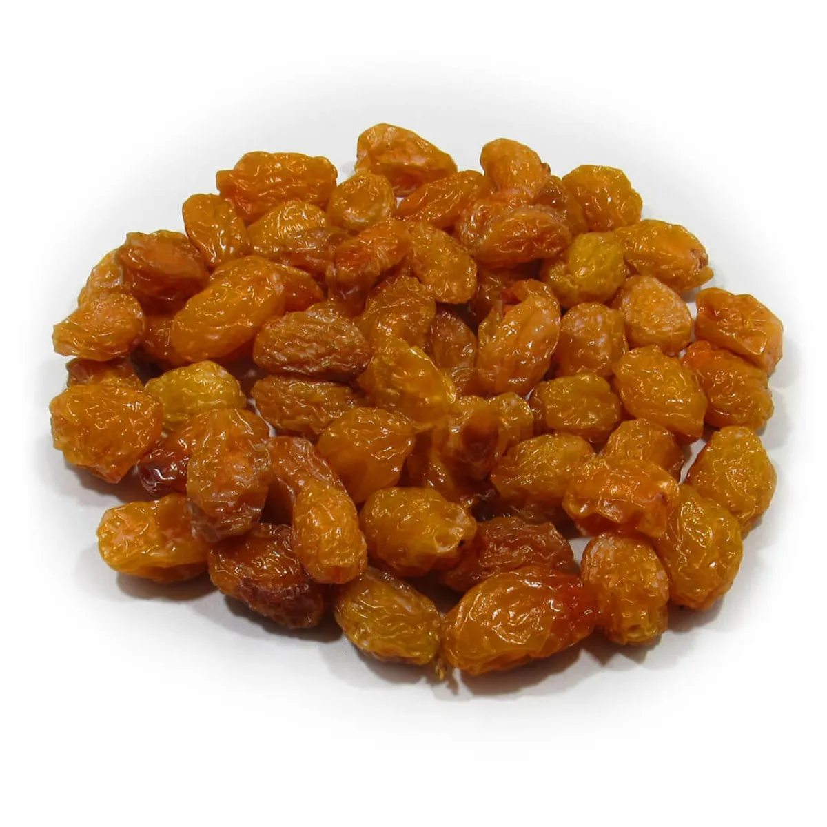 Best Price Prune From TURKEY