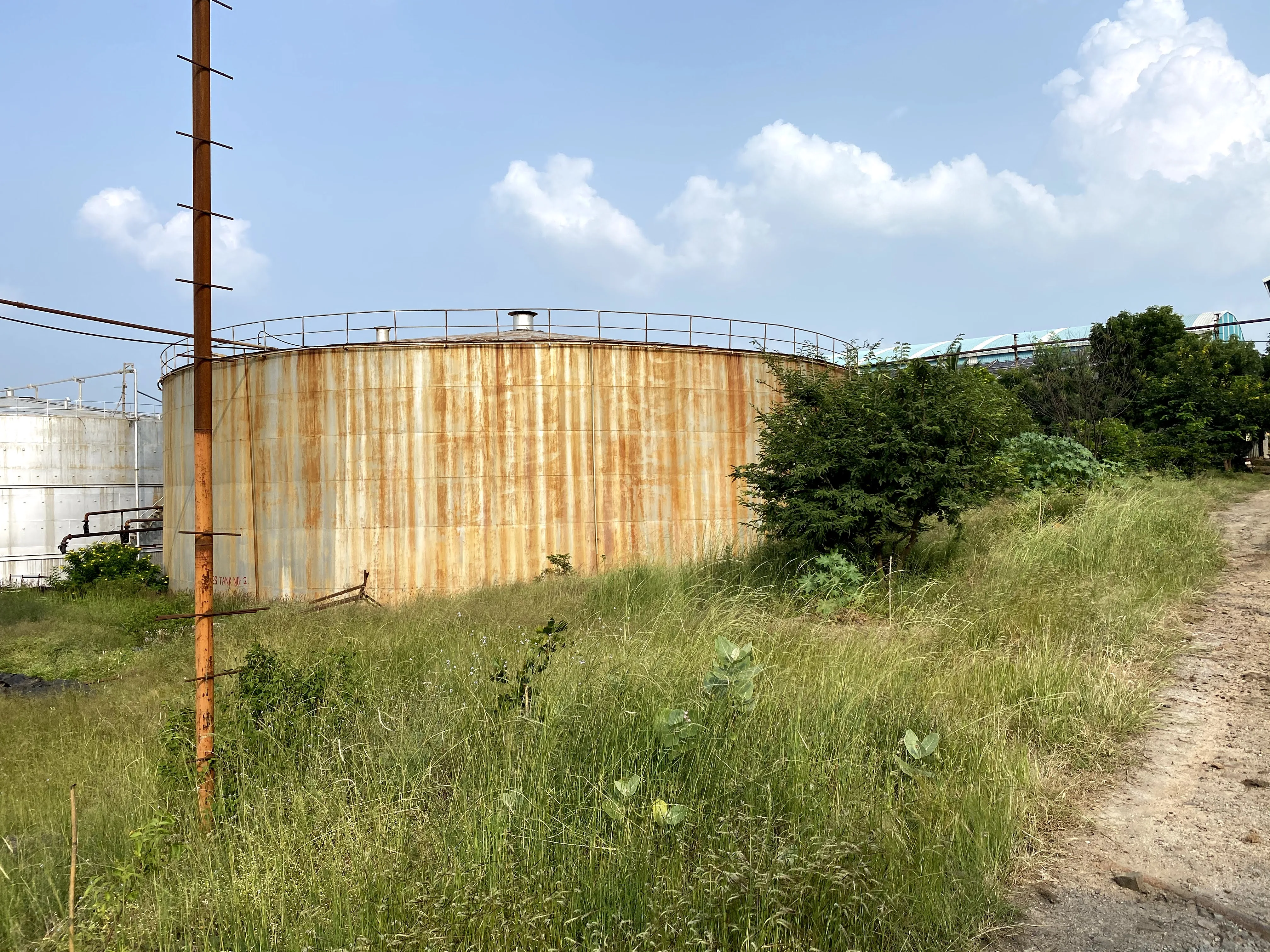 
Sugar cane molasses made from sugarcane are used in baking and candy-making and to make rum animal feed, vinegar, citric acid 