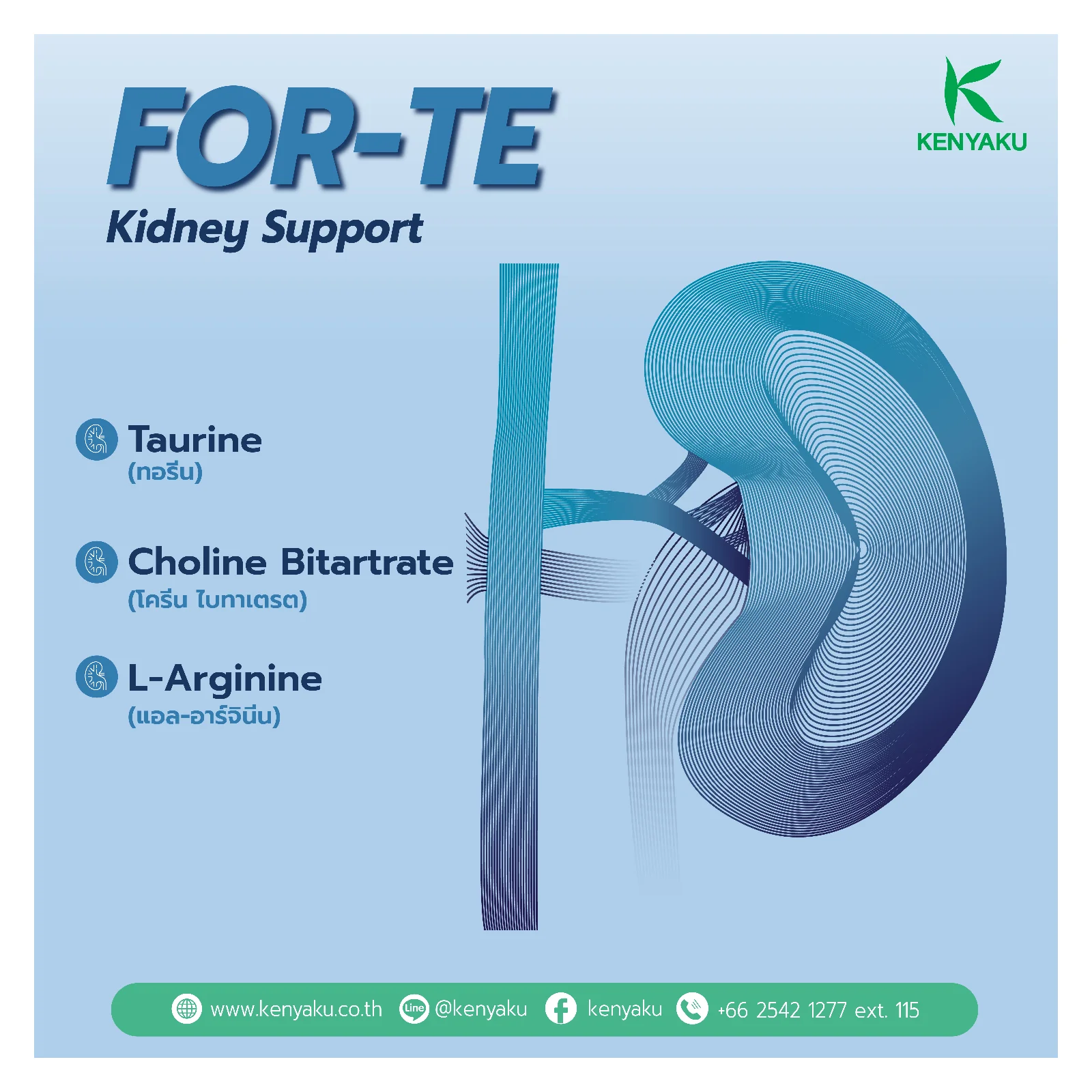 Increase Filtration Rate Kidney Nourishing Stomach Liver For-Te Kidney Support Supplement