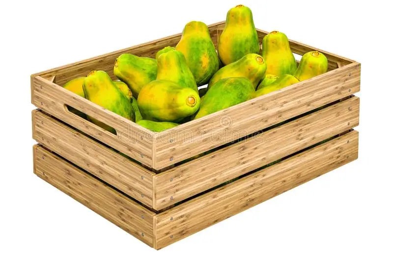 Best seller Fresh Papaya Premium grade from Thailand by SP Organic International