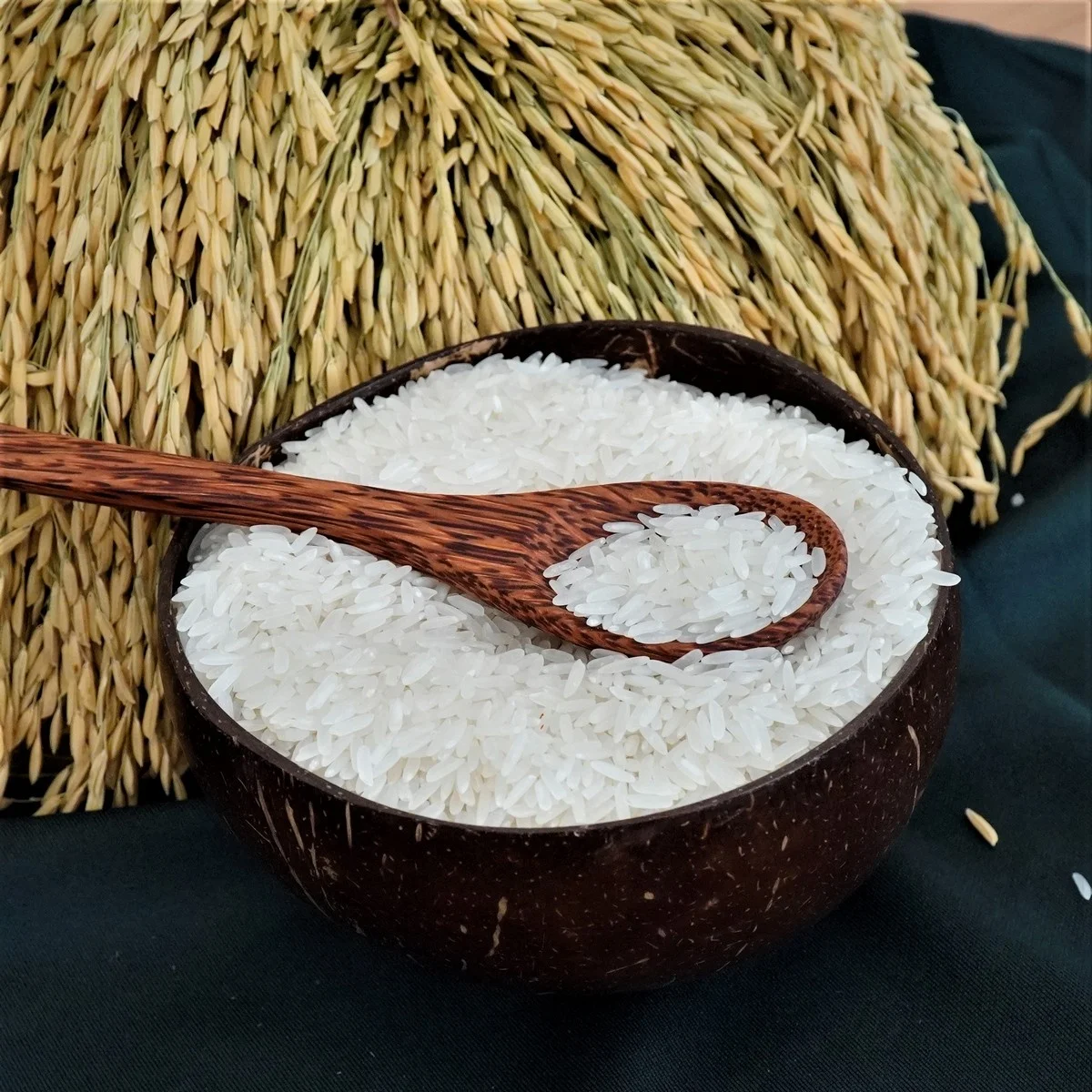 Wholesale Long Grain Fragrant Rice/White Rice DT8 Variety from Vietnam Best Supplier Contact us for Best Price