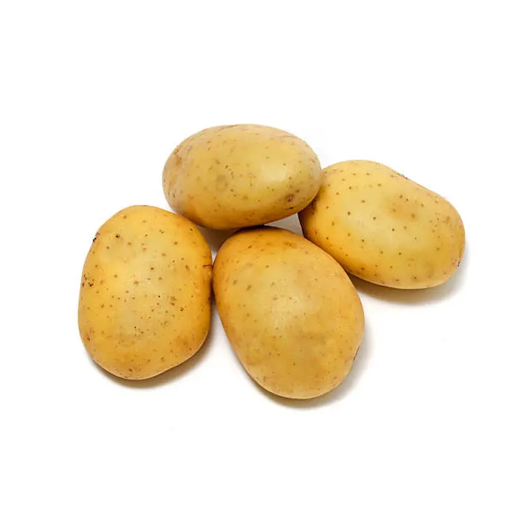 EXPORT QUALITY POTATO PAKISTAN ORIGIN AT BEST RATES