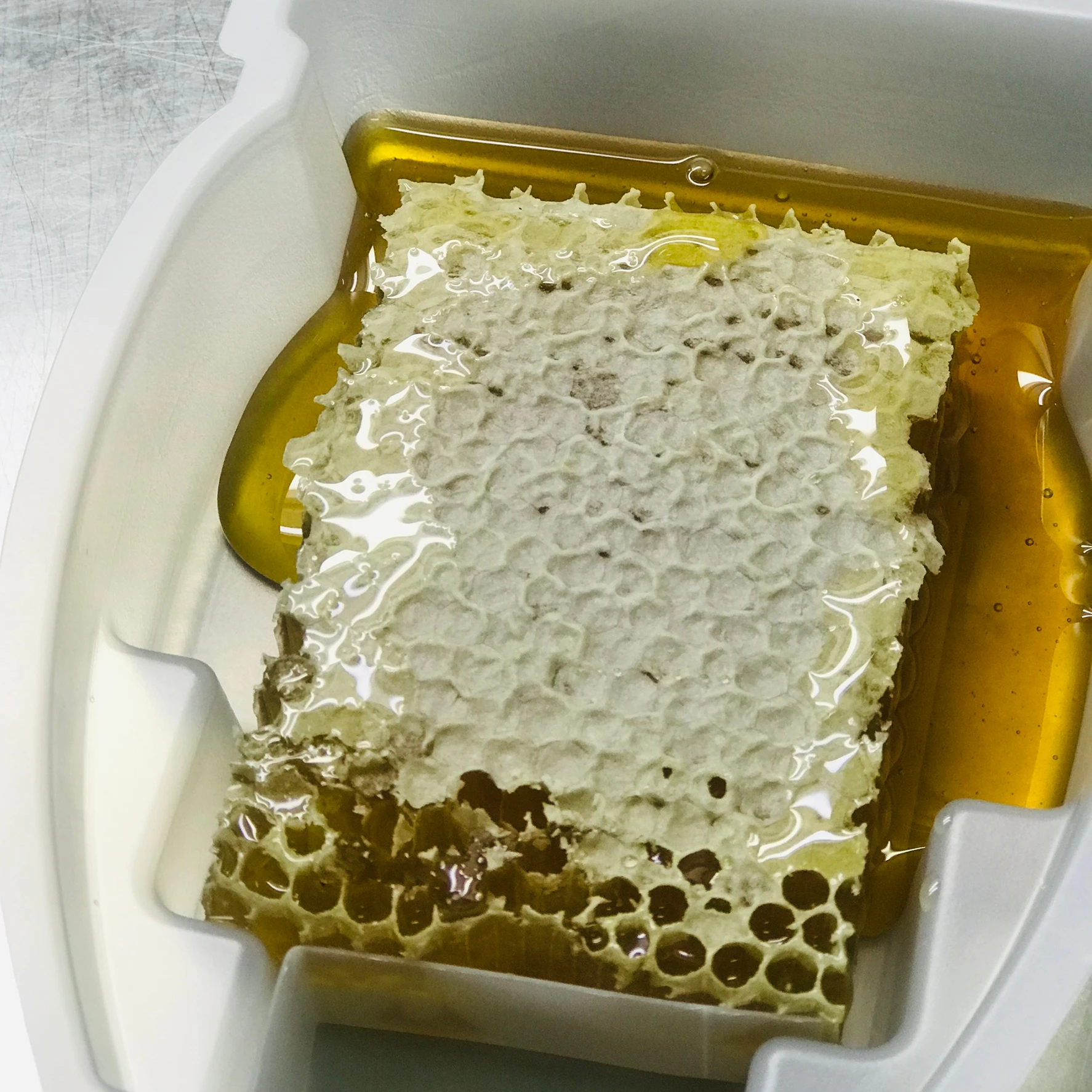 
Fresh Honeycomb Natural Honey 100% Origin from Thailand 
