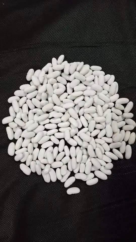 High quality Egyptian White Kidney Beans Wholesale