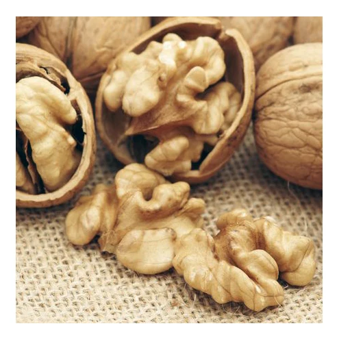 Competitive Price Wholesale Bulk Walnut Kernel / Walnut Without Shell