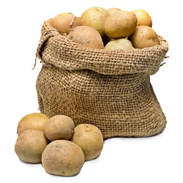High quality cheap price professional export wholesalers fresh potato