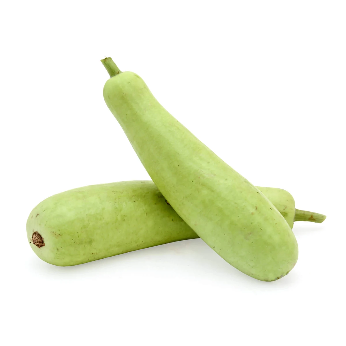 Оптовая цена, бутылка для овощей, семена тыквы, азиатские овощи с хорошей упаковкой из бангладеш