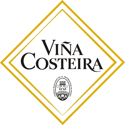 High Quality Red Wine from Spain | Brand Vina Costeira Mencia 2021 | DO Valdeorras | 750ml glass bottle