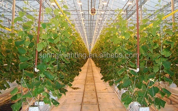 LED 200W Grow Lamp Plug and Play EU AU US UK Plug LED Plant Grow Lights 600W HPS HID Replace