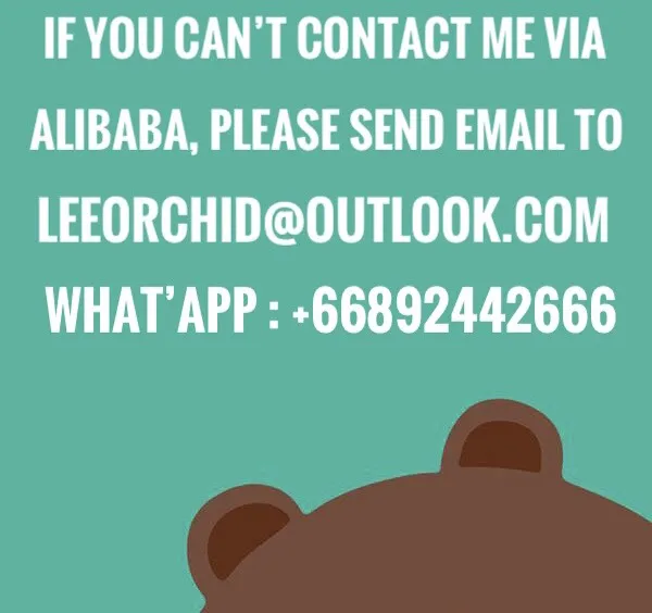 
Thailand Wholesale Fresh Cut Spiral Draceana Lucky bamboo 