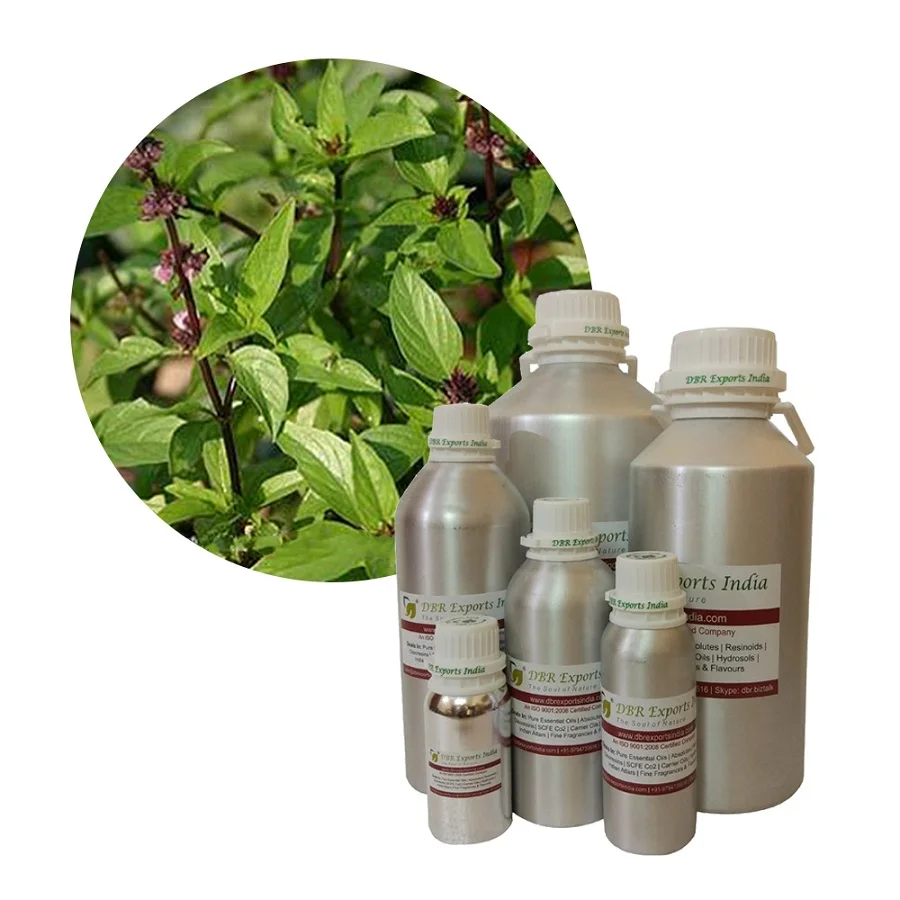 Holy Basil Oil Whole sale supplier from India Bulk Holy Basil Oil at wholesale price Exporter of Holy Basil Oil