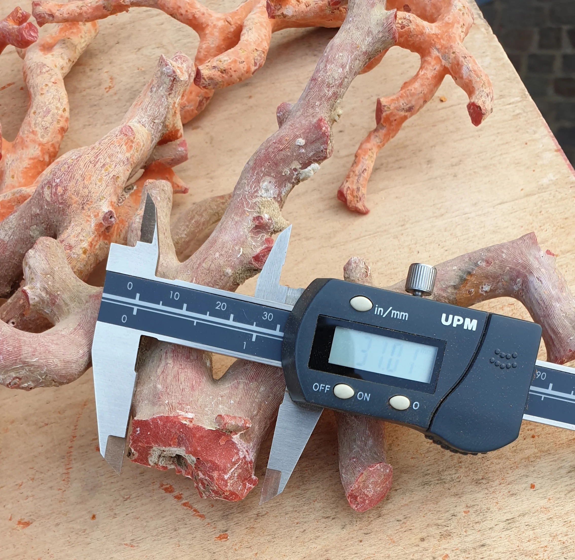 
RED ITALIAN CORAL ROUGH SIZE 10 TO 31 MM 