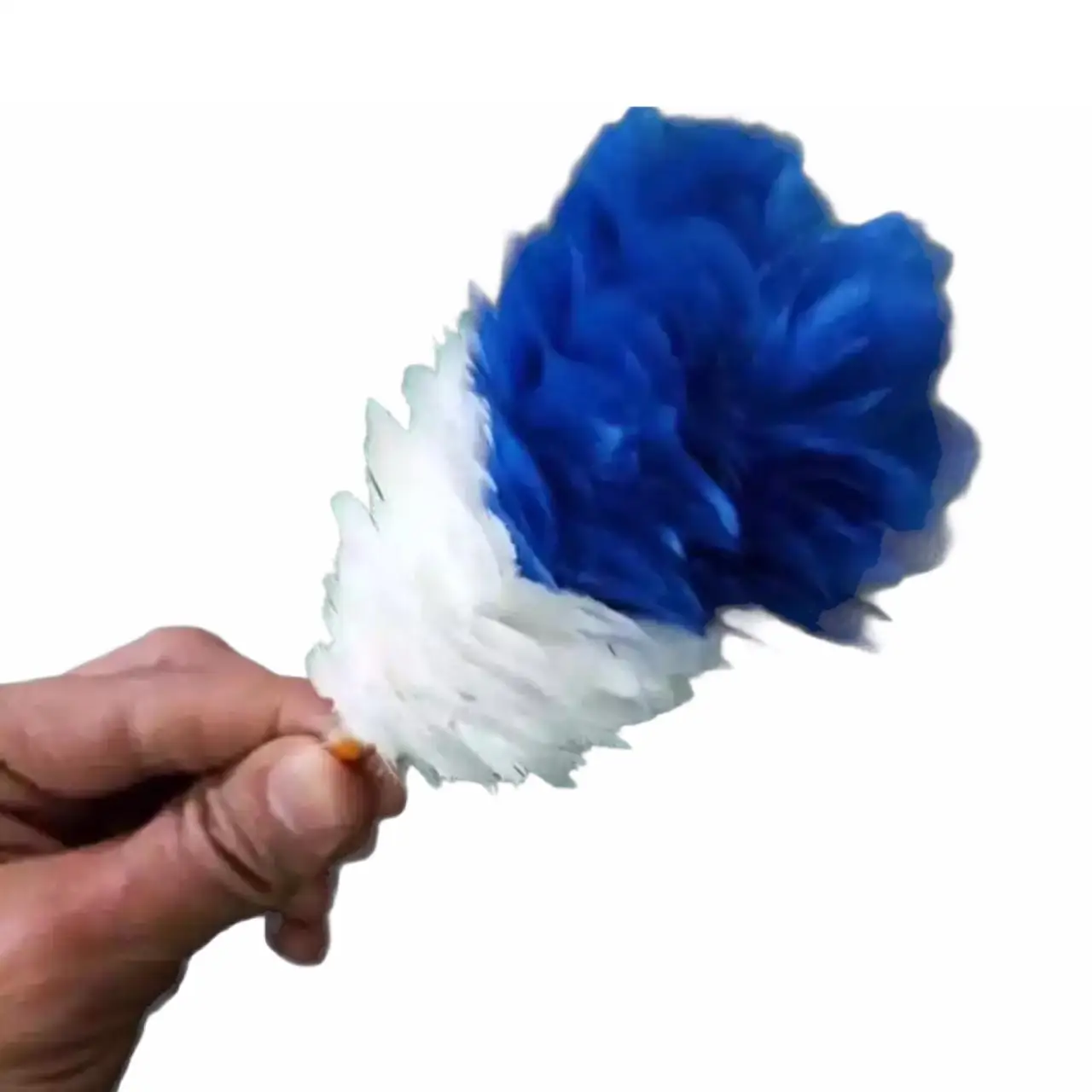 Hackle Glengarry And Balmoral hat Royal Blue and White Plume Feather Plume Pipe Band Uniform Feather Hackle