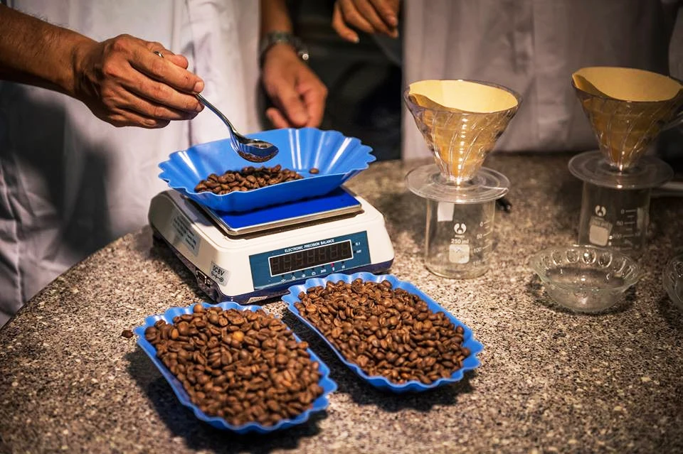 Кофе в зернах кофе ромастер эспрессо производство OEM частная торговая марка Вьетнам Robusta