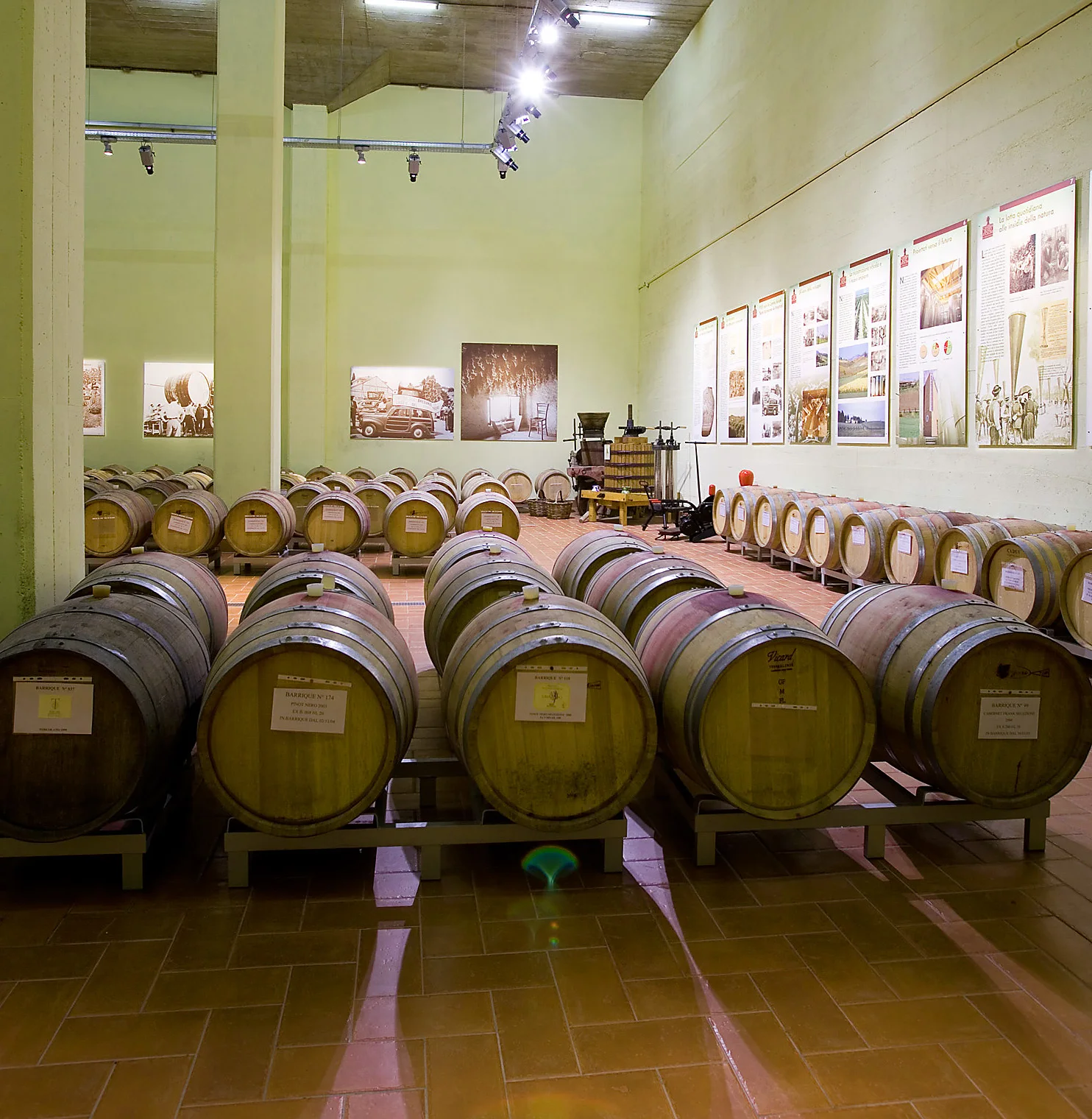 
Italian sparkling Muscat wine Moscato Spumante 75 cl bottle Sweet Aromatic taste party wine Moscato Spumante Dolce 