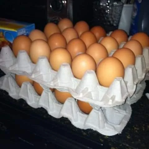 Белый/коричневый куриные яйца в подносы и коробки