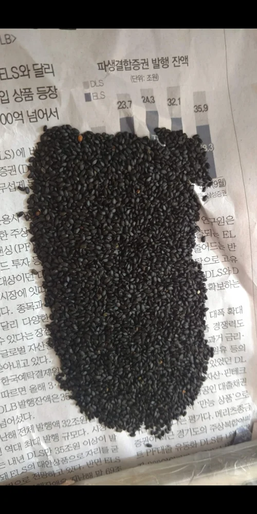 Basil seeds ocimum basilicum