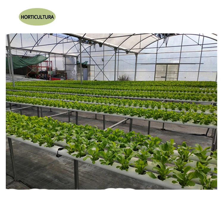 Top Listed Manufacturer of 2.1 mm Thickness Made Top Quality NFT Hydroponic System at Minimal Price
