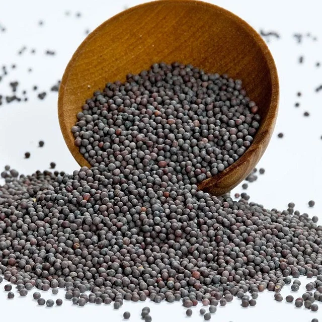 
hemp seed, olive, canola seeds 