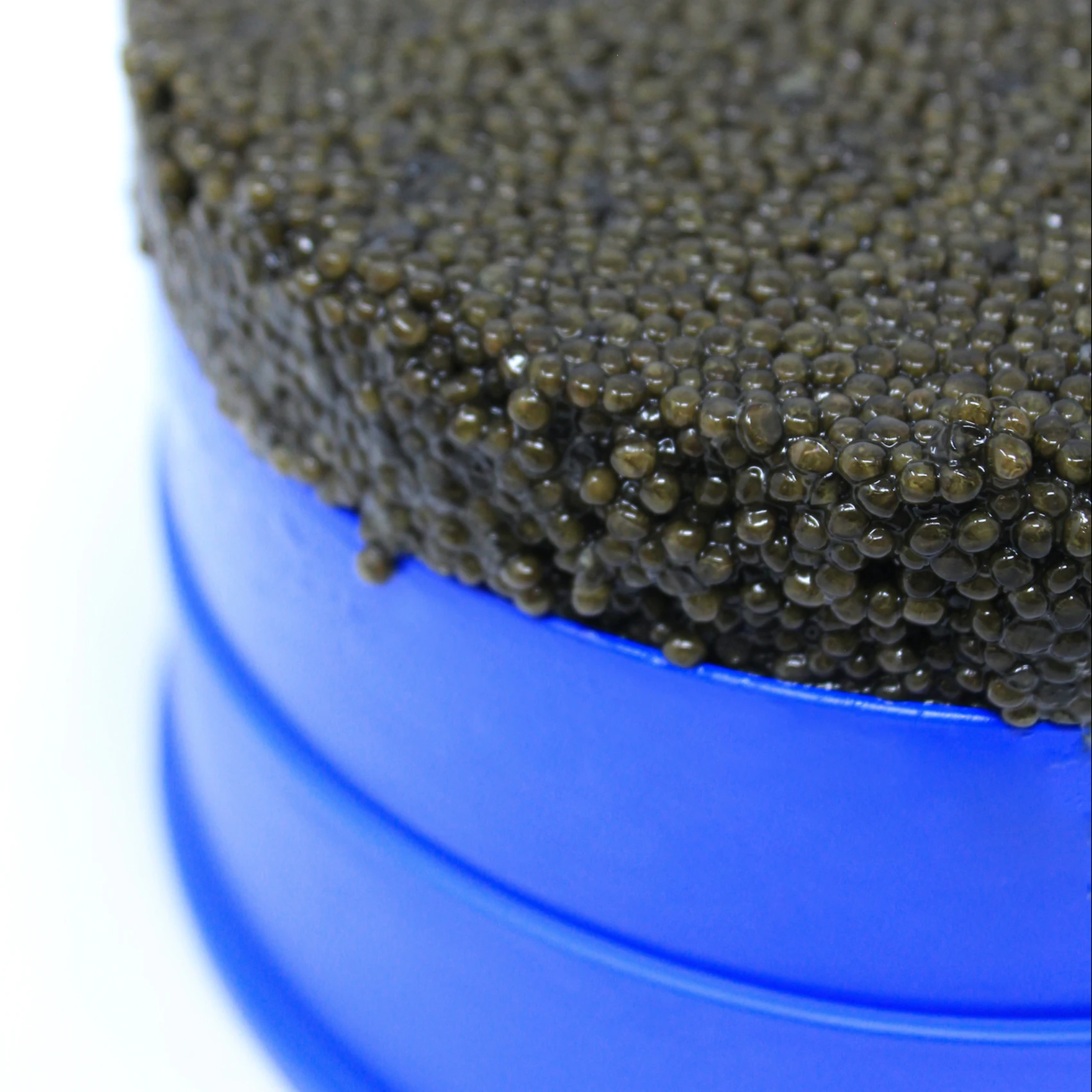 Hot sell High quality Sustainable White Sturgeon Caviar 1800gr Tin Malossol