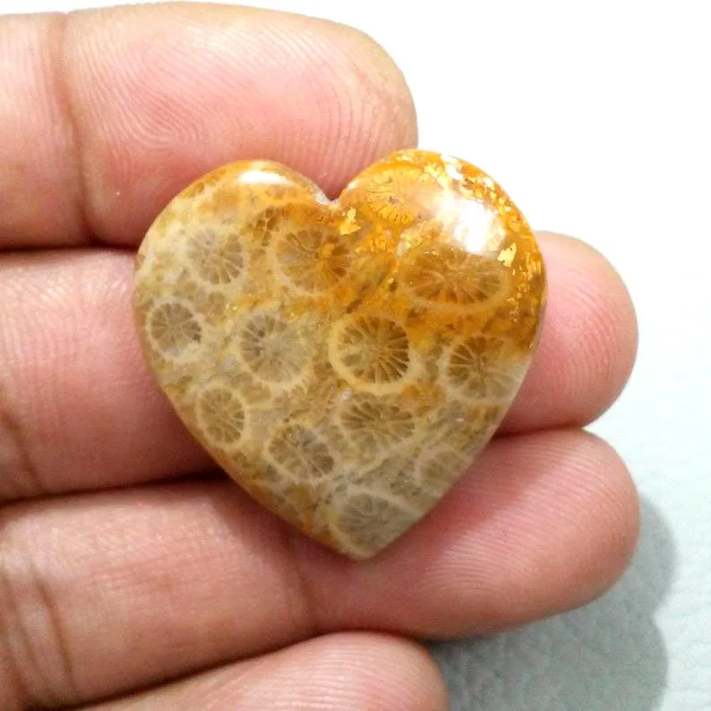 Wholesale Fossil Coral Puffy Hearts for Crystal Love Gifts | Wholesale Hearts High Quality For Sale | Meditation Hearts