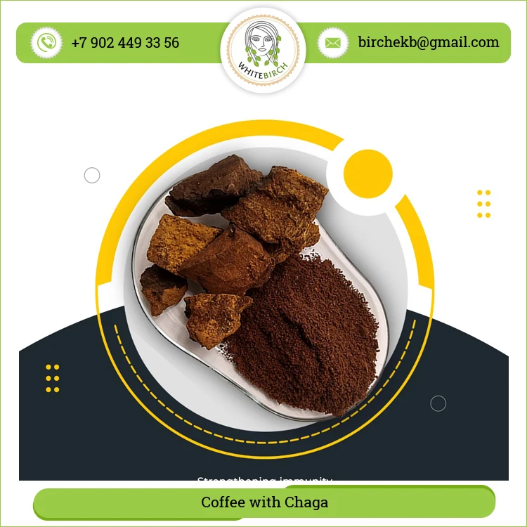 Best Quality Herbal Ingredients Chaga Mushroom Extract Chaga with Coffee Mushroom Powder