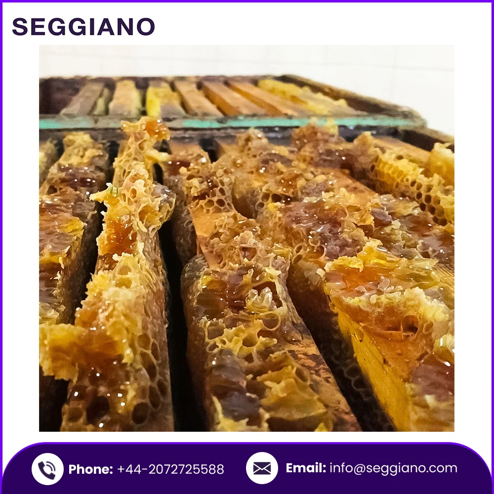 100% Natural Bulk Fresh Cheap Price Seggiano Sicilian Thyme Raw Honey 500g