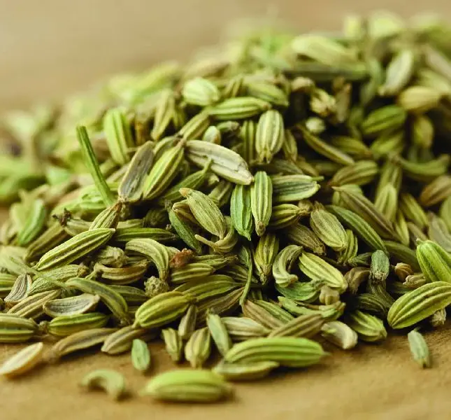 Wholesale best quality fennel seed from India